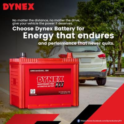 DYNEX DYNEX36B19L 33 Ah Battery