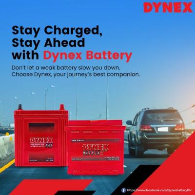 DYNEX DYNEX36B19L 33 Ah Battery